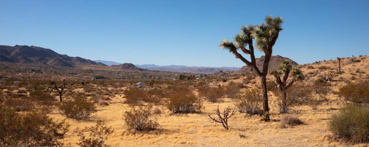 Shelter 1- A Classic- At Joshua Tree Park Entrance Exterior foto